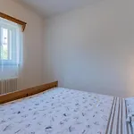 Jurasic Apartament *